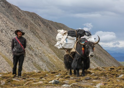 Trek Tibet